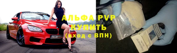 прущие грибы Краснотурьинск