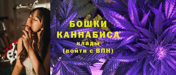 дурь Кодинск