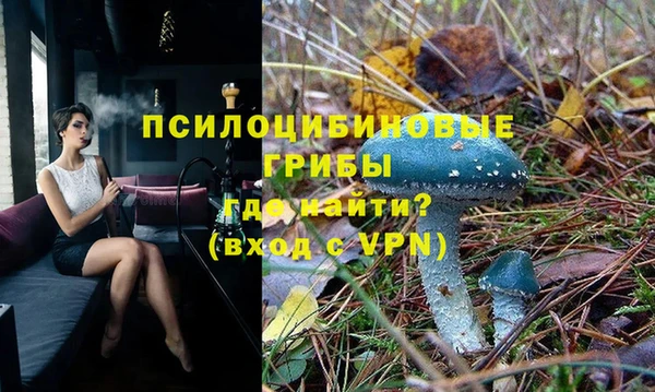 spice Кинешма