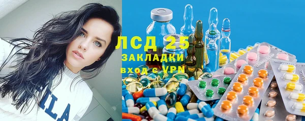 стаф Козельск