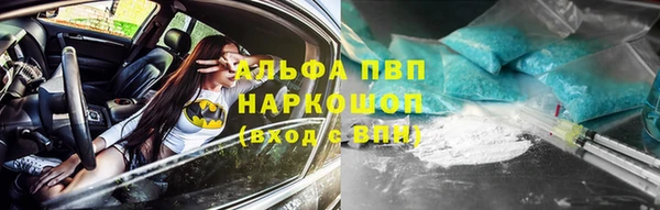 стаф Козельск