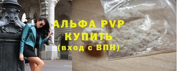 стаф Козельск