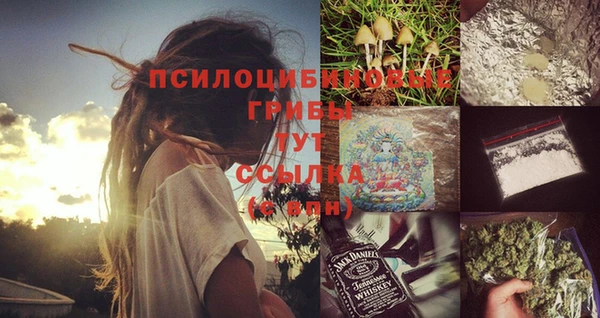 дурь Кодинск